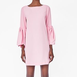 Zara Pink Pleated Sleeves Dress